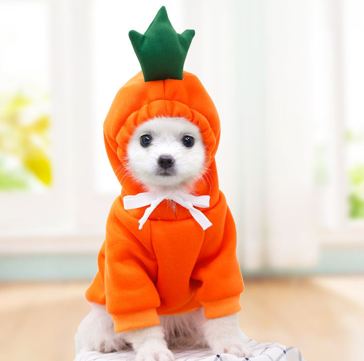 Liten hund i fleecegenser med fruktmotiv