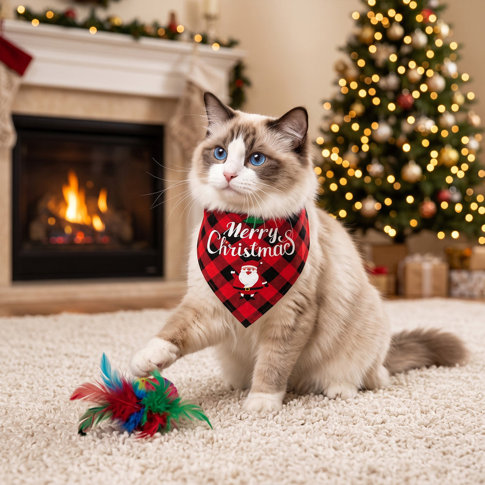 Julekalender for katt med leker