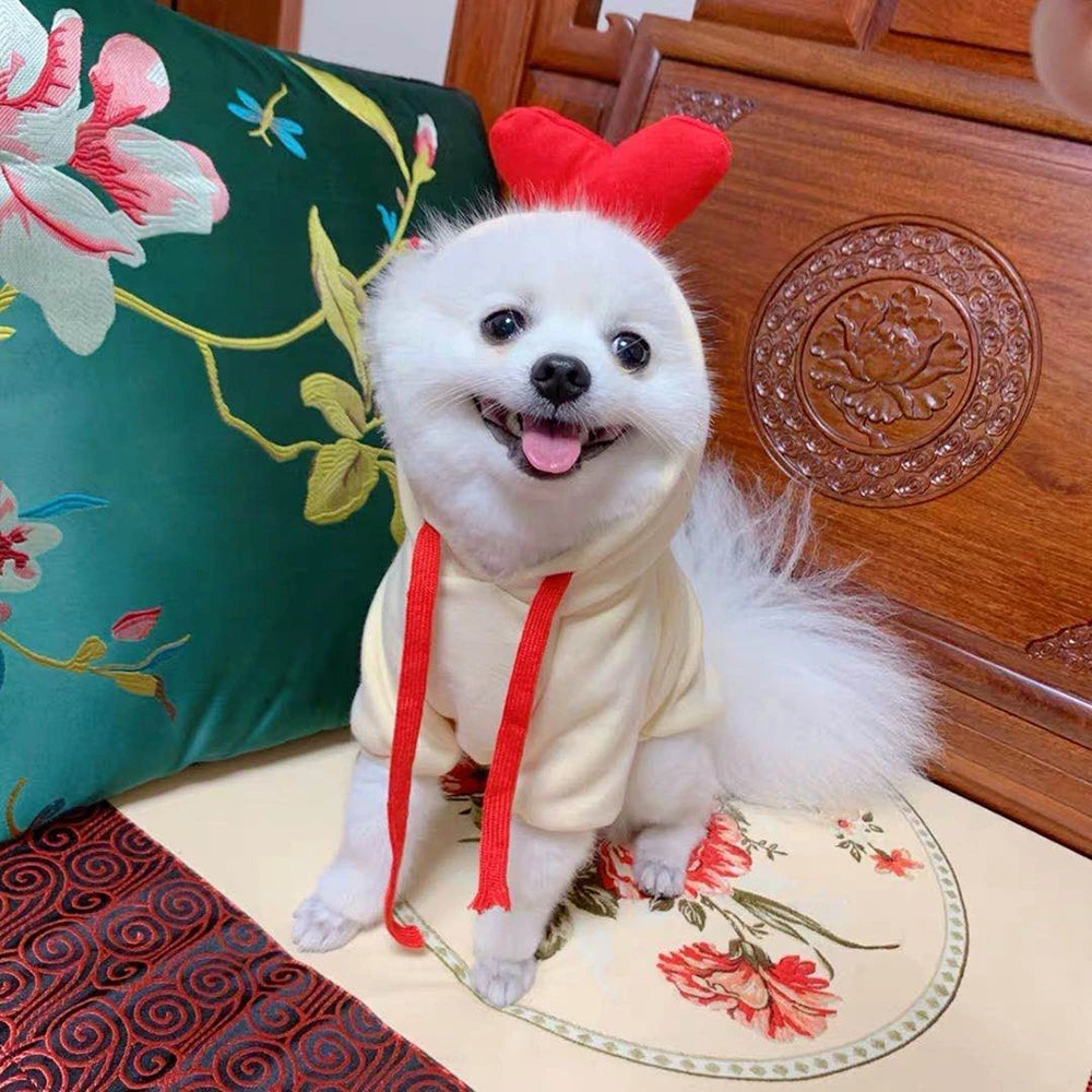 Liten hund i fleecegenser med fruktmotiv