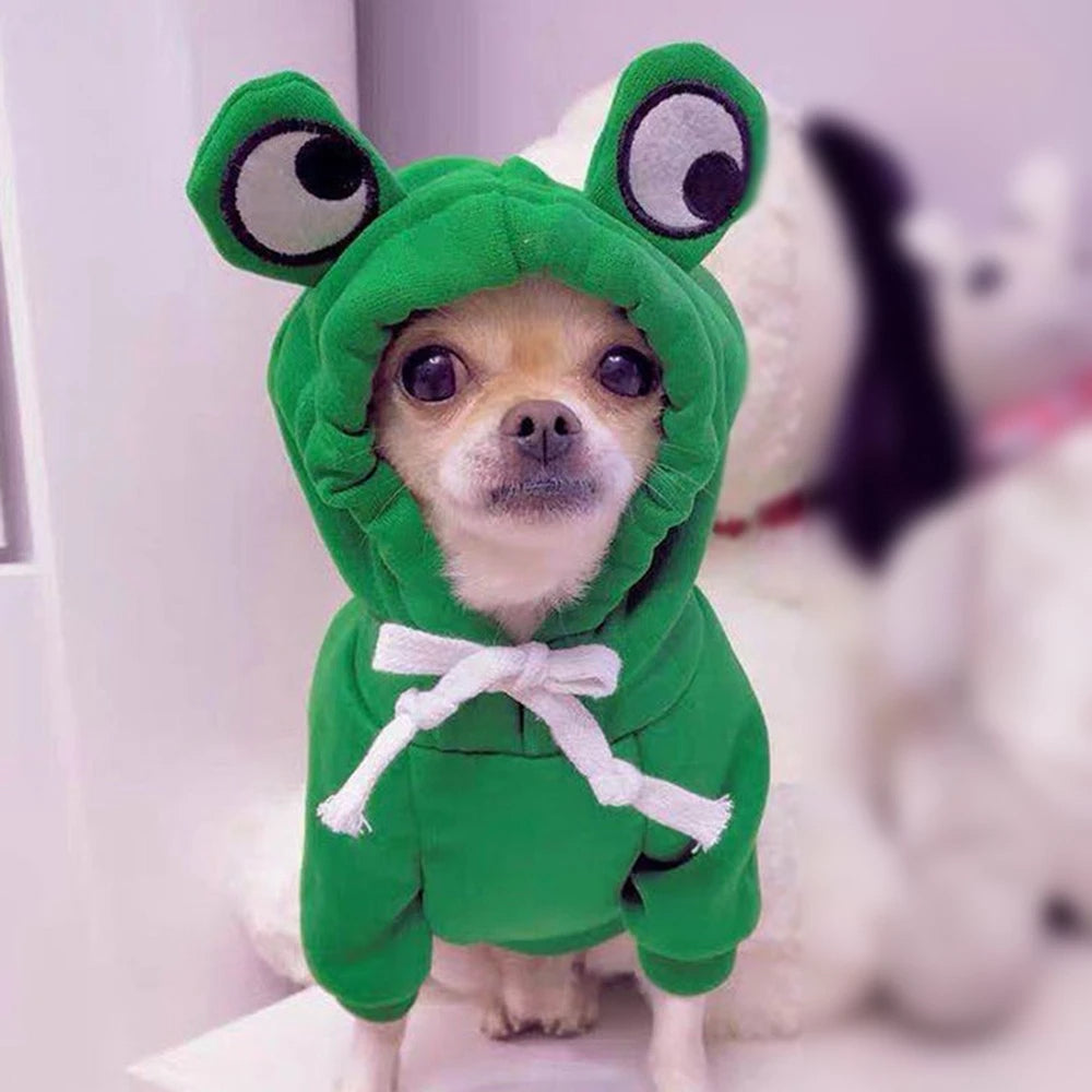Liten hund i fleecegenser med fruktmotiv