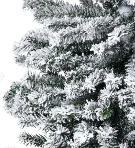 Høyt smalt snødekt juletre uten lys